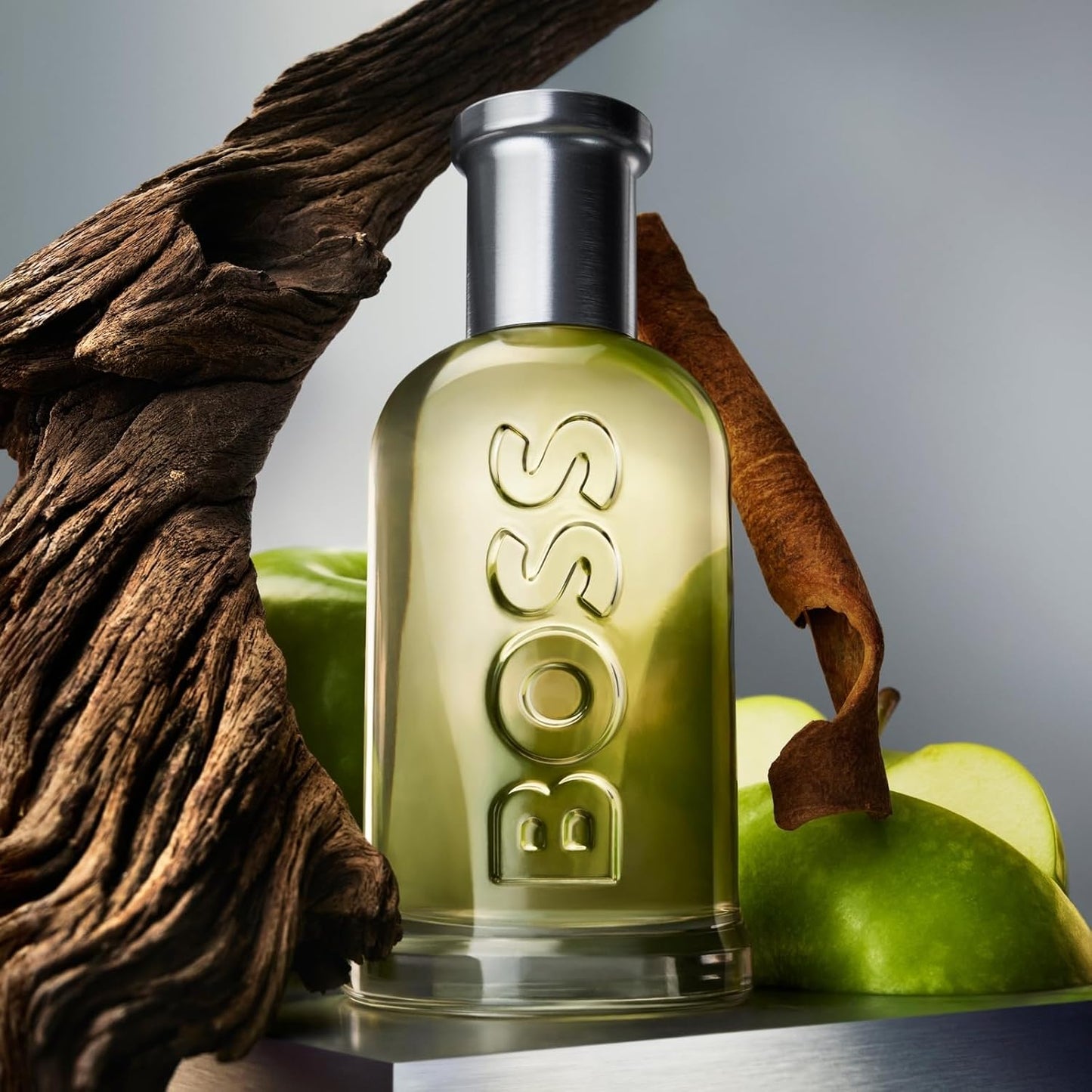 Master Quality Hugo Boss Men's Bottled Eau de Toilette, 100 ml